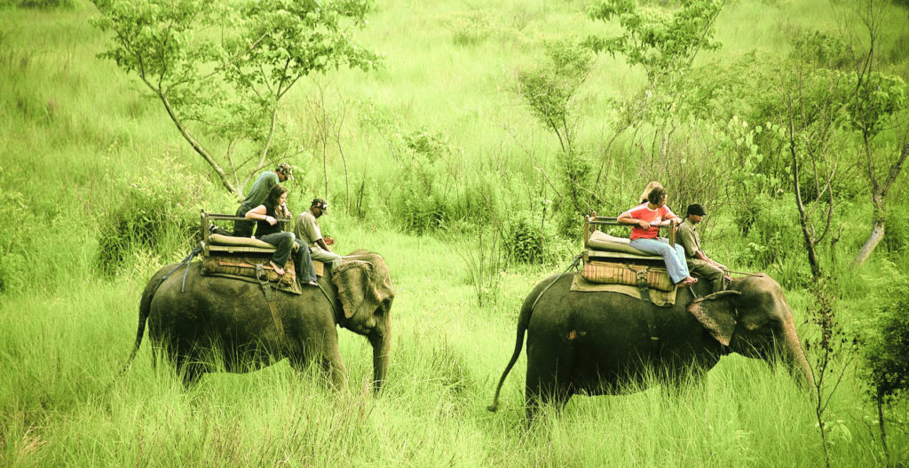 Chitwan-Elephant-back-safari