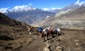 jomsom trek