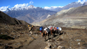 jomsom trek