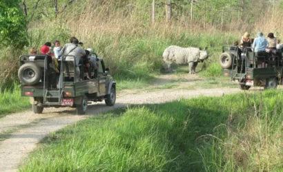 jeep safari in jungle