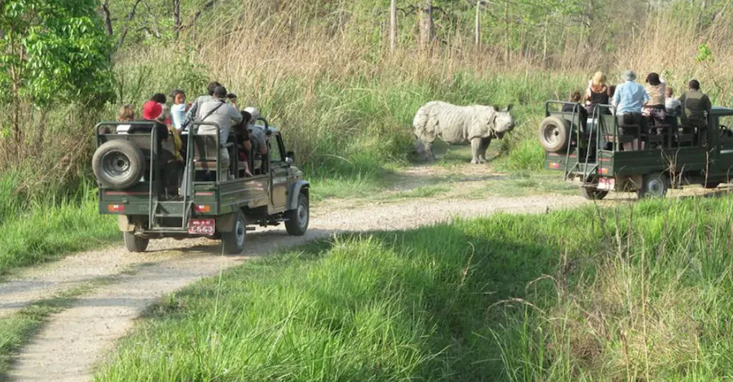 jeep safari in jungle